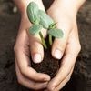 Семен Ранопашец Семен Ранопашец по народному календарю