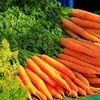 Куприянов день Куприянов день