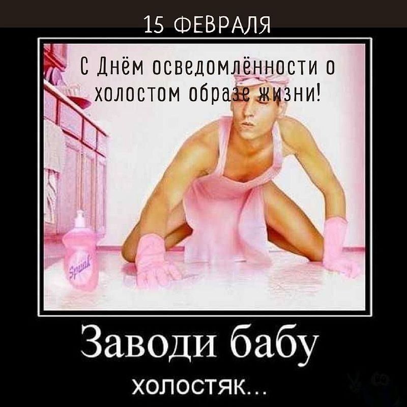 Холостые женщины. Афоризмы про замуж. Хочу холостой женщина. Шутки про холостяцкую жизнь. Вонючий пирог.