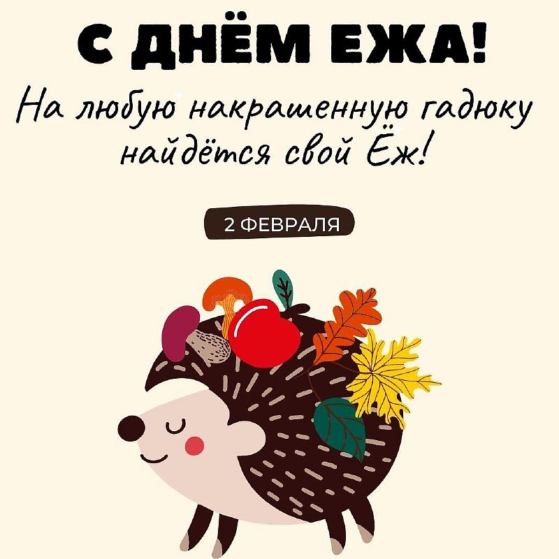 День ежа 2 февраля. День ежа. Еж праздник. Ежики отмечают день. Хренобус ёж поздравление