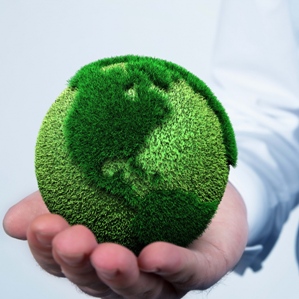 День экологического образования