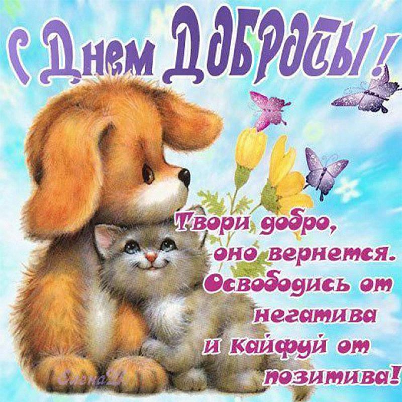 День добра пожелание. С днем доброты. Поздравления с днём доброты. С днём доброты картинки поздравления. День доброты 17 февраля поздравления