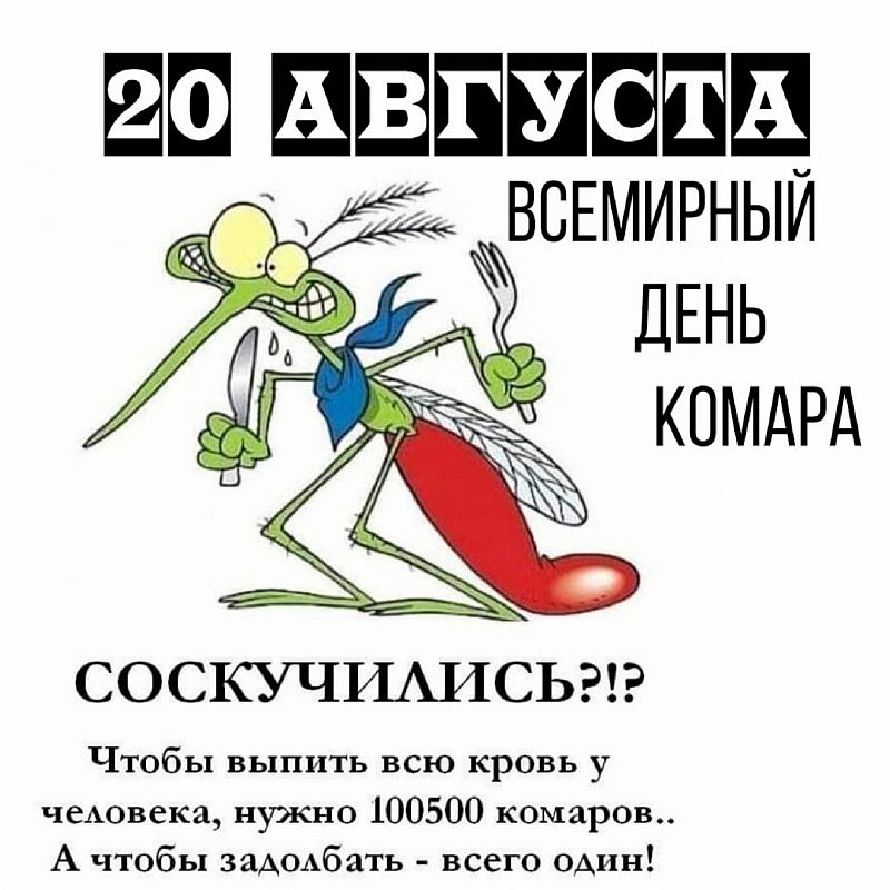 20 августа день