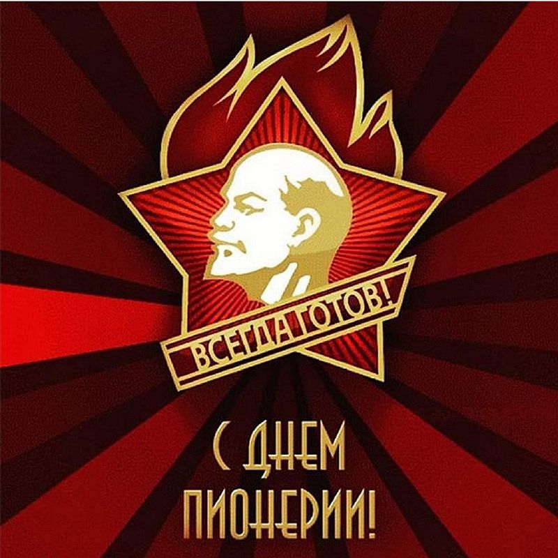 19 мая день пионерии смешные картинки