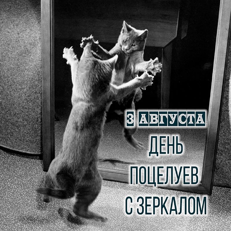 3 августа день поцелуев с зеркалом картинки. 3 августа день поцелуев с зеркалом картинки. 3 августа день поцелуев с зеркалом картинки. 3 августа день поцелуев с зеркалом картинки. 3 августа день поцелуев с зеркалом картинки.